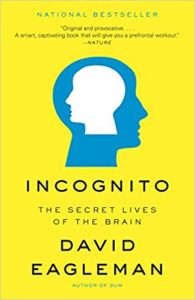 Incognito - book review