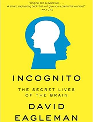 Incognito - book review